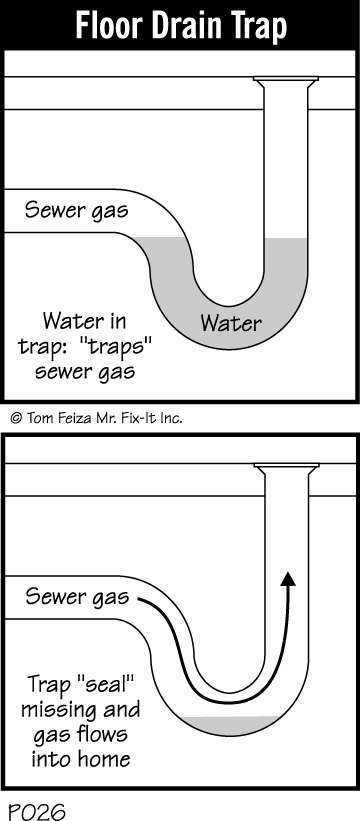 Floor Drain Trap