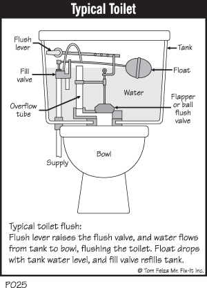 Toilet Paper Returns After Flush