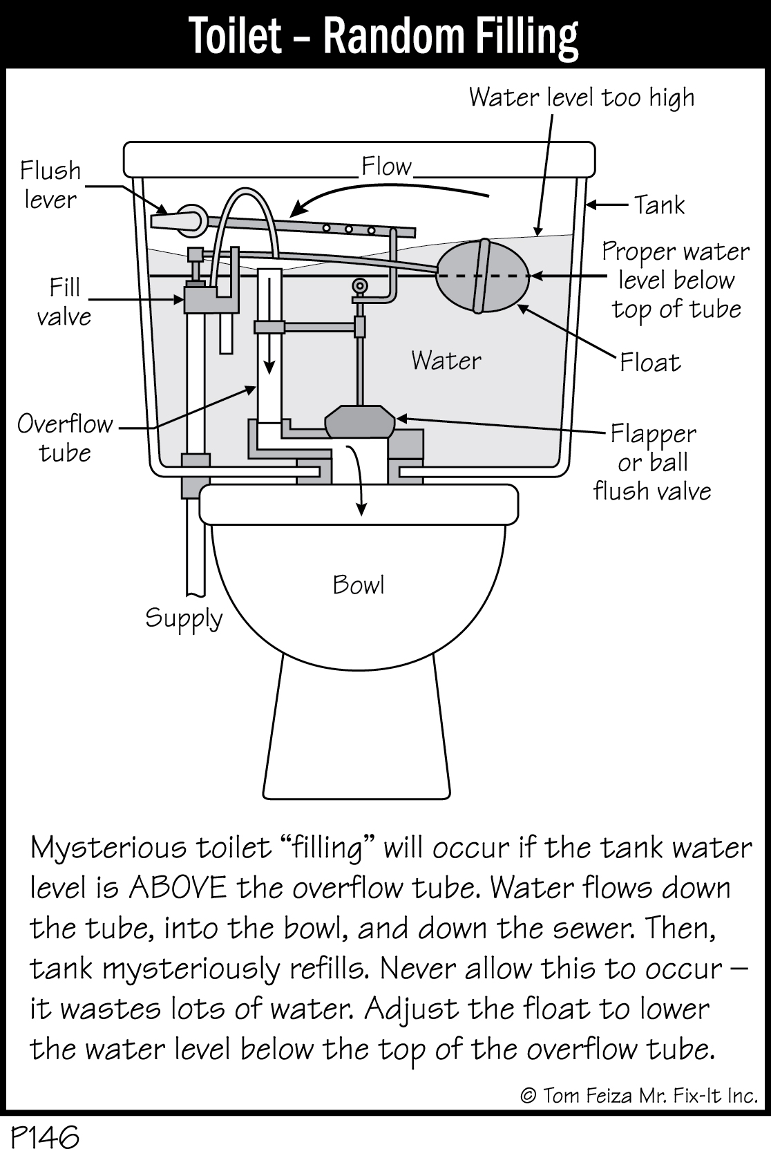 P146 - Toilet - Random Filling